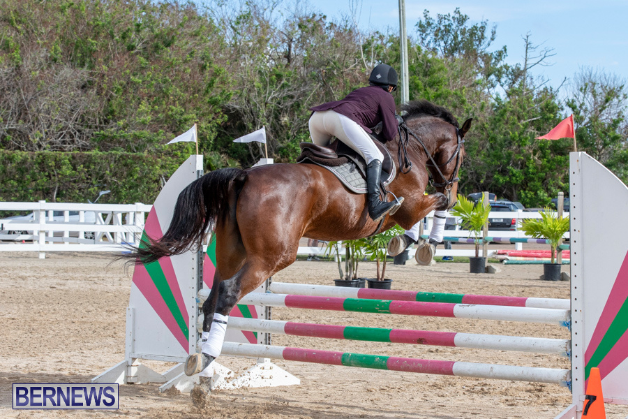 Caribbean-Equestrian-Association-Regional-Jumping-Challenge-Bermuda-November-16-2019-2048