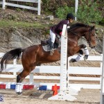 Caribbean Equestrian Association Regional Jumping Challenge Bermuda, November 16 2019-2055