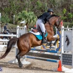 Caribbean Equestrian Association Regional Jumping Challenge Bermuda, November 16 2019-2063