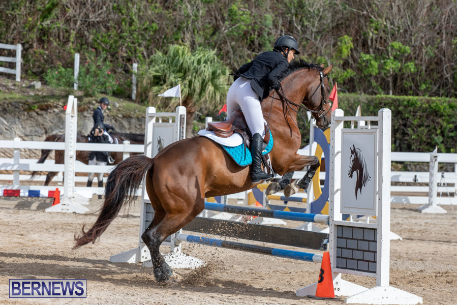 Caribbean-Equestrian-Association-Regional-Jumping-Challenge-Bermuda-November-16-2019-2063