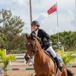 Caribbean Equestrian Association Regional Jumping Challenge Bermuda, November 16 2019-2066