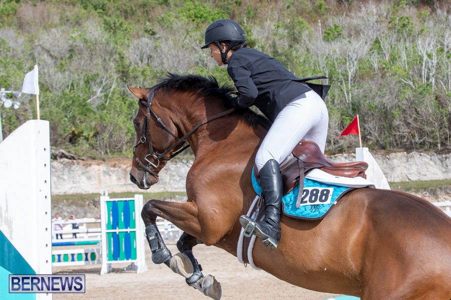 Caribbean-Equestrian-Association-Regional-Jumping-Challenge-Bermuda-November-16-2019-2070