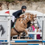 Caribbean Equestrian Association Regional Jumping Challenge Bermuda, November 16 2019-2093