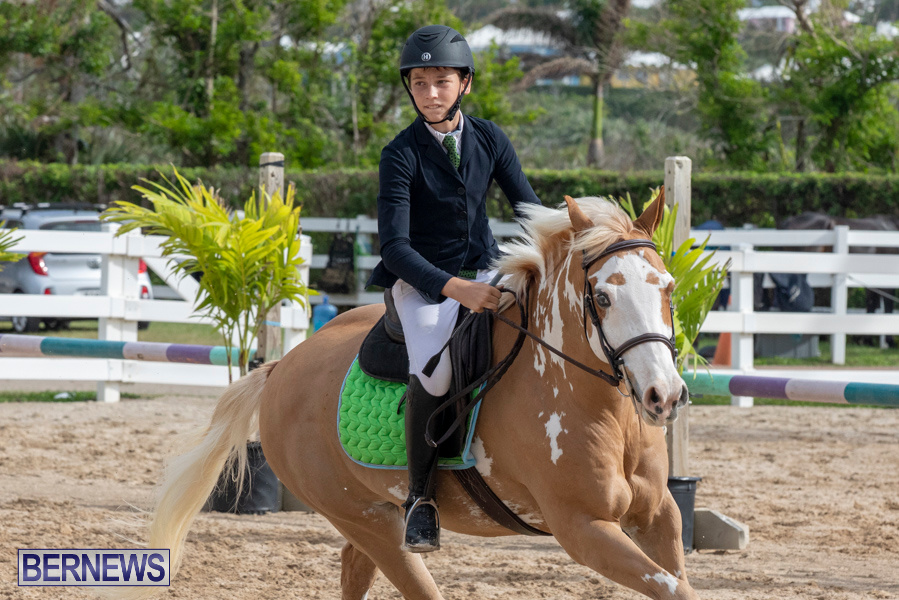 Caribbean-Equestrian-Association-Regional-Jumping-Challenge-Bermuda-November-16-2019-2105