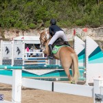 Caribbean Equestrian Association Regional Jumping Challenge Bermuda, November 16 2019-2113