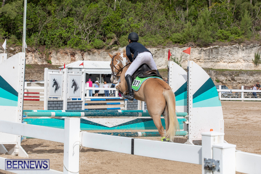 Caribbean-Equestrian-Association-Regional-Jumping-Challenge-Bermuda-November-16-2019-2113