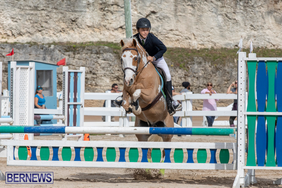 Caribbean-Equestrian-Association-Regional-Jumping-Challenge-Bermuda-November-16-2019-2117