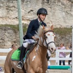 Caribbean Equestrian Association Regional Jumping Challenge Bermuda, November 16 2019-2122