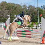 Caribbean Equestrian Association Regional Jumping Challenge Bermuda, November 16 2019-2124