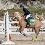 Caribbean Equestrian Association Regional Jumping Challenge Bermuda, November 16 2019-2129