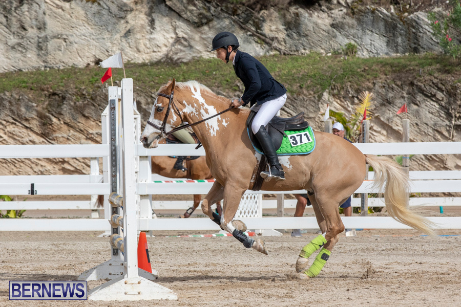Caribbean-Equestrian-Association-Regional-Jumping-Challenge-Bermuda-November-16-2019-2129