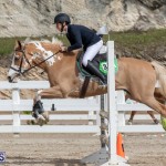 Caribbean Equestrian Association Regional Jumping Challenge Bermuda, November 16 2019-2131