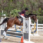 Caribbean Equestrian Association Regional Jumping Challenge Bermuda, November 16 2019-2143