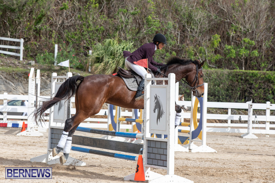 Caribbean-Equestrian-Association-Regional-Jumping-Challenge-Bermuda-November-16-2019-2143