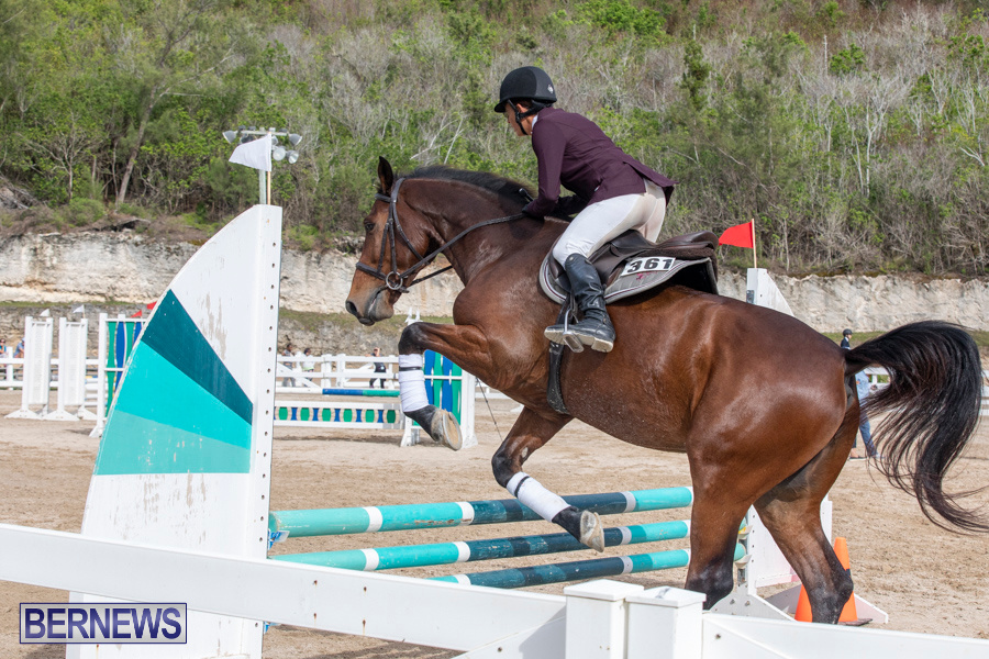 Caribbean-Equestrian-Association-Regional-Jumping-Challenge-Bermuda-November-16-2019-2150