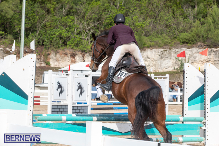Caribbean-Equestrian-Association-Regional-Jumping-Challenge-Bermuda-November-16-2019-2153