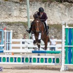 Caribbean Equestrian Association Regional Jumping Challenge Bermuda, November 16 2019-2158
