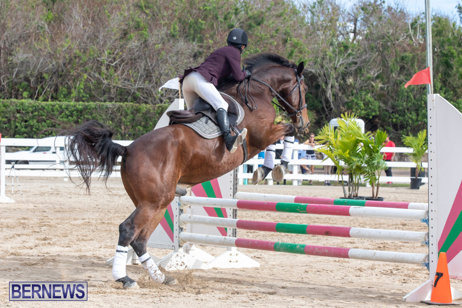 Caribbean-Equestrian-Association-Regional-Jumping-Challenge-Bermuda-November-16-2019-2162