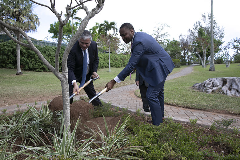 Tree Planting Bermuda November 2019 (5)