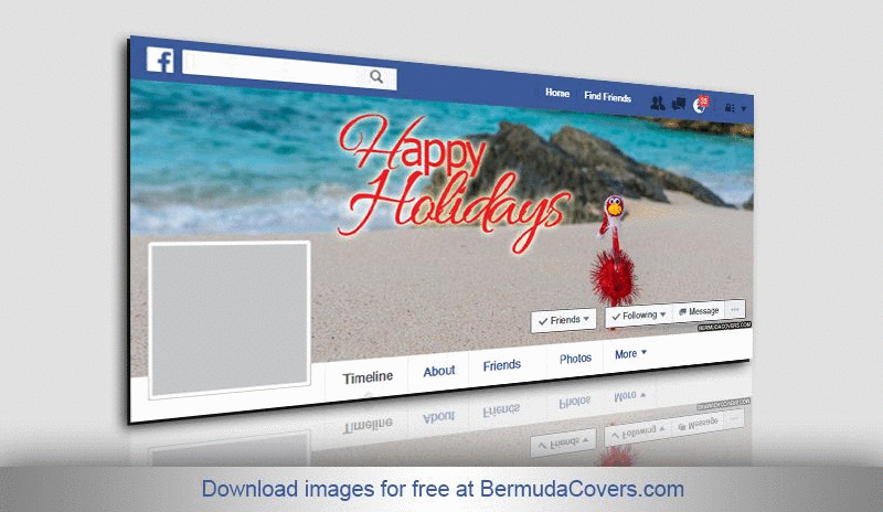 BermudaCovers Holidays GIF 800px 2
