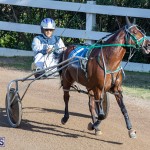 DHPC Harness Pony Racing Bermuda, December 26 2019-5967