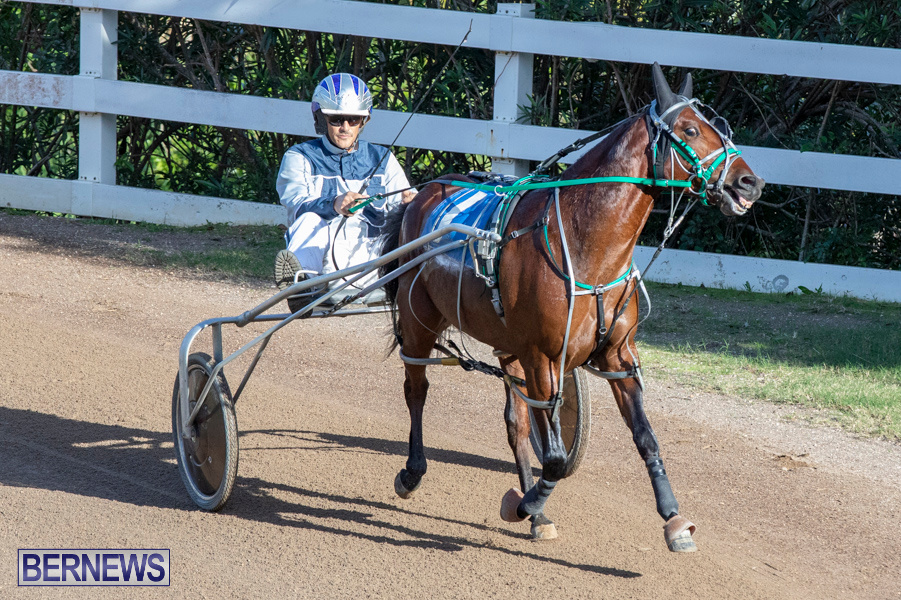 DHPC-Harness-Pony-Racing-Bermuda-December-26-2019-5967