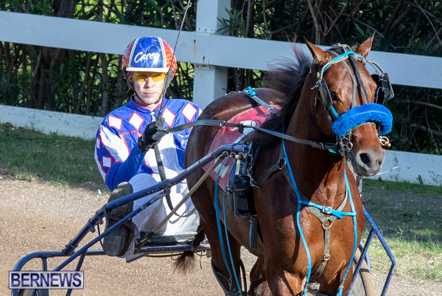 DHPC-Harness-Pony-Racing-Bermuda-December-26-2019-5970