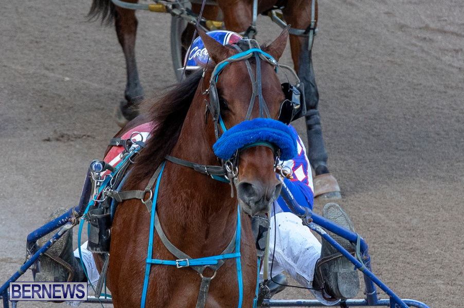 DHPC-Harness-Pony-Racing-Bermuda-December-26-2019-5977