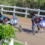 DHPC Harness Pony Racing Bermuda, December 26 2019-6004