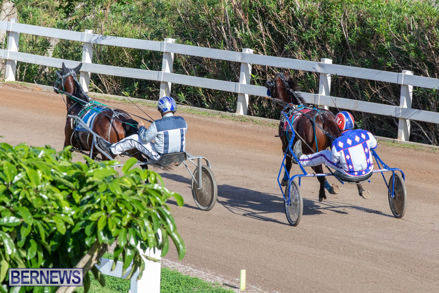 DHPC-Harness-Pony-Racing-Bermuda-December-26-2019-6004