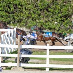 DHPC Harness Pony Racing Bermuda, December 26 2019-6011