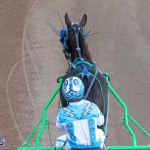 DHPC Harness Pony Racing Bermuda, December 26 2019-6084