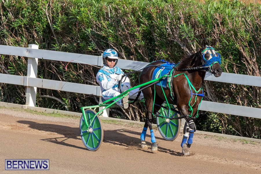 DHPC-Harness-Pony-Racing-Bermuda-December-26-2019-6088