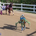DHPC Harness Pony Racing Bermuda, December 26 2019-6094