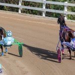 DHPC Harness Pony Racing Bermuda, December 26 2019-6115