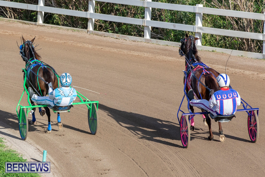 DHPC-Harness-Pony-Racing-Bermuda-December-26-2019-6115