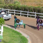 DHPC Harness Pony Racing Bermuda, December 26 2019-6116