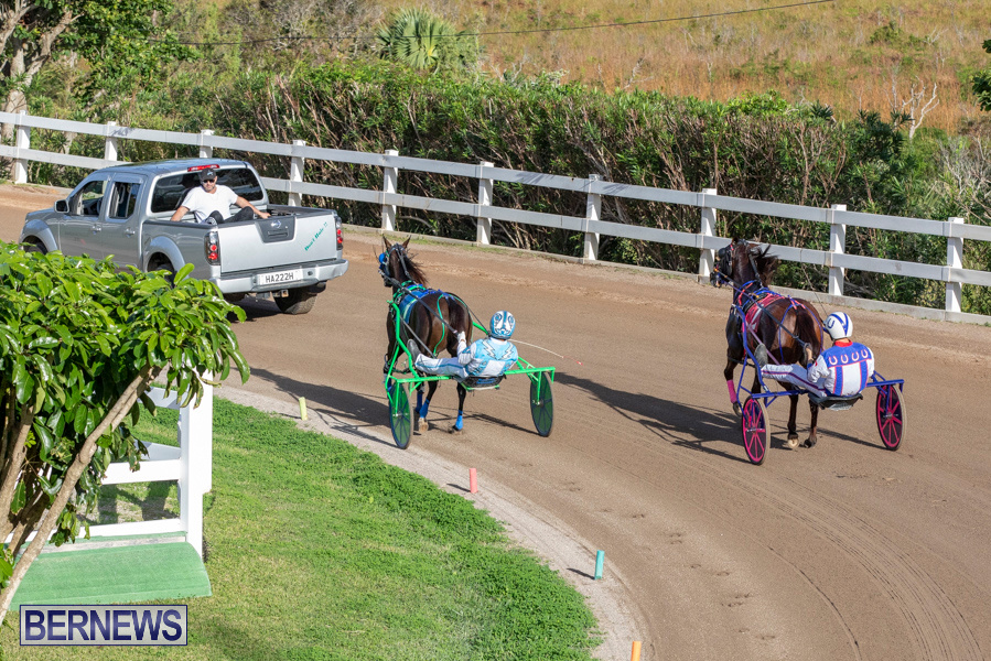 DHPC-Harness-Pony-Racing-Bermuda-December-26-2019-6116