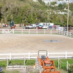 DHPC Harness Pony Racing Bermuda, December 26 2019-6150