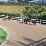 DHPC Harness Pony Racing Bermuda, December 26 2019-6152