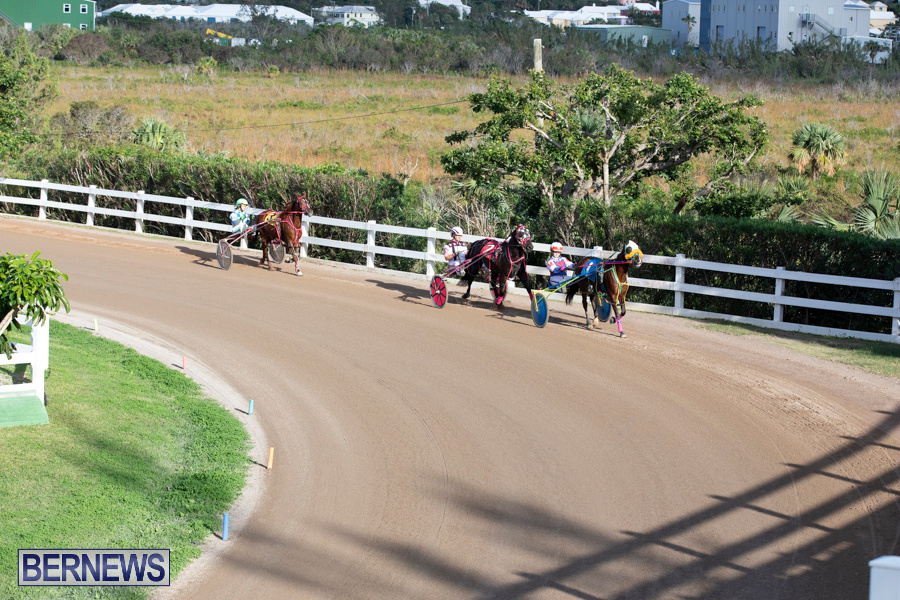 DHPC-Harness-Pony-Racing-Bermuda-December-26-2019-6152