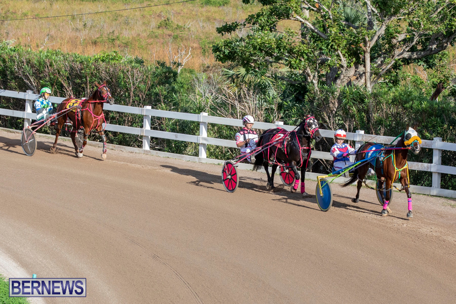 DHPC-Harness-Pony-Racing-Bermuda-December-26-2019-6153