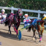 DHPC Harness Pony Racing Bermuda, December 26 2019-6154