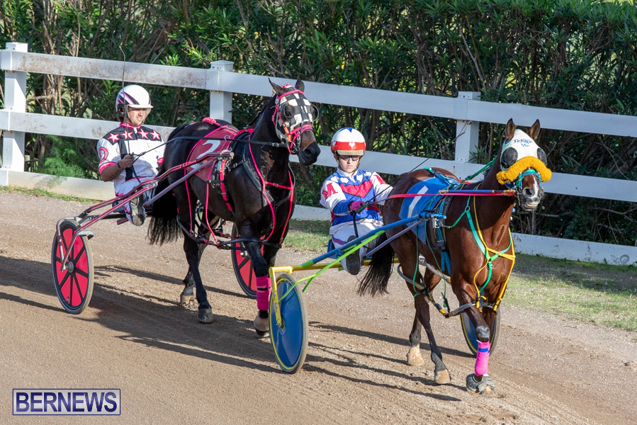 DHPC-Harness-Pony-Racing-Bermuda-December-26-2019-6154