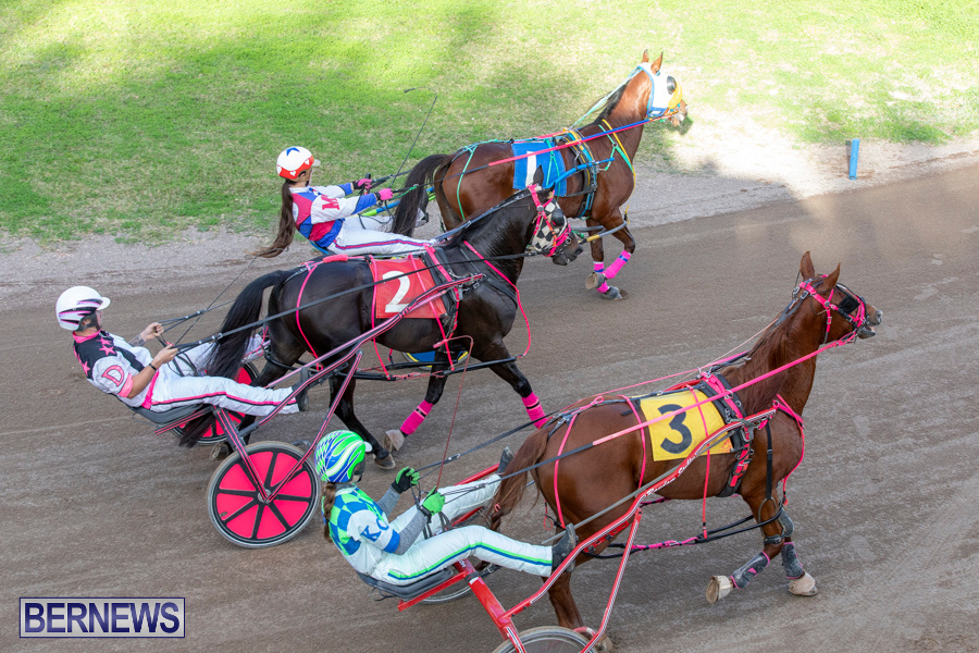 DHPC-Harness-Pony-Racing-Bermuda-December-26-2019-6171