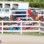 DHPC Harness Pony Racing Bermuda, December 26 2019-6178