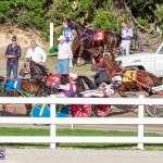 DHPC Harness Pony Racing Bermuda, December 26 2019-6180