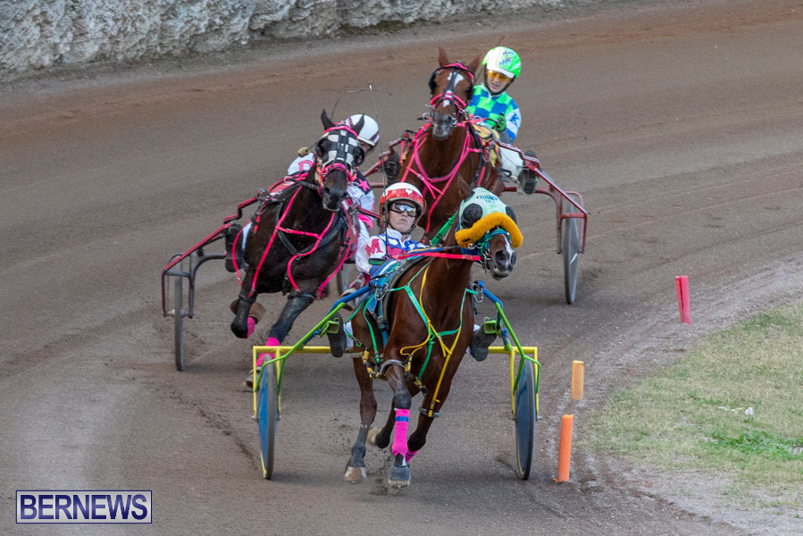 DHPC-Harness-Pony-Racing-Bermuda-December-26-2019-6186