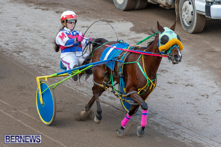 DHPC-Harness-Pony-Racing-Bermuda-December-26-2019-6190