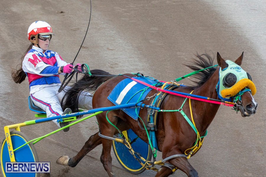 DHPC-Harness-Pony-Racing-Bermuda-December-26-2019-6191